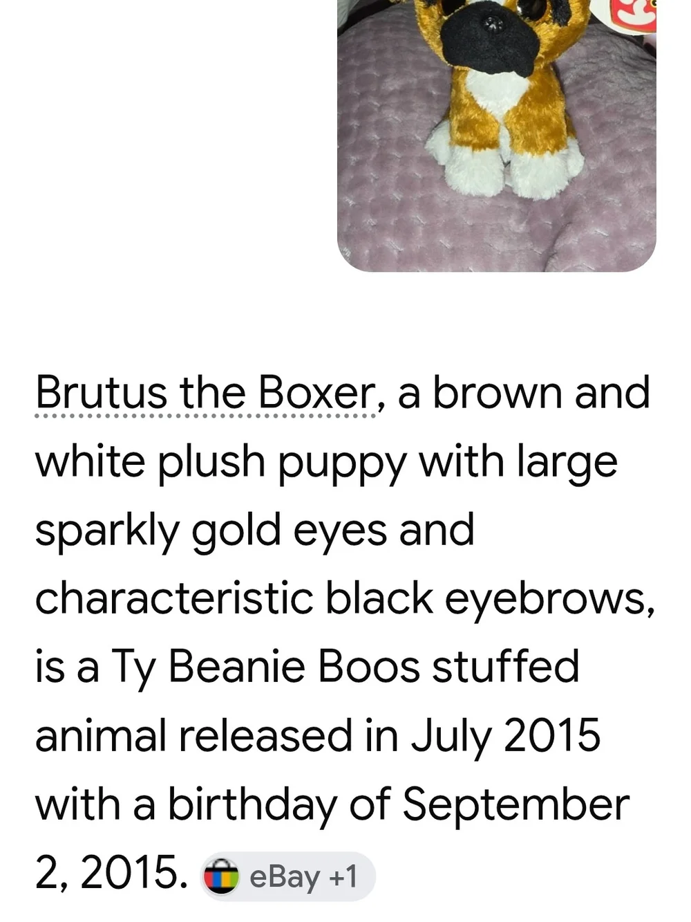 TY Retired Brutus Boxer Brown and White Boxer Plush Pup